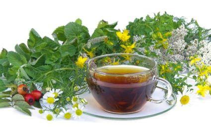 манастирски чай състав у дома от простатит